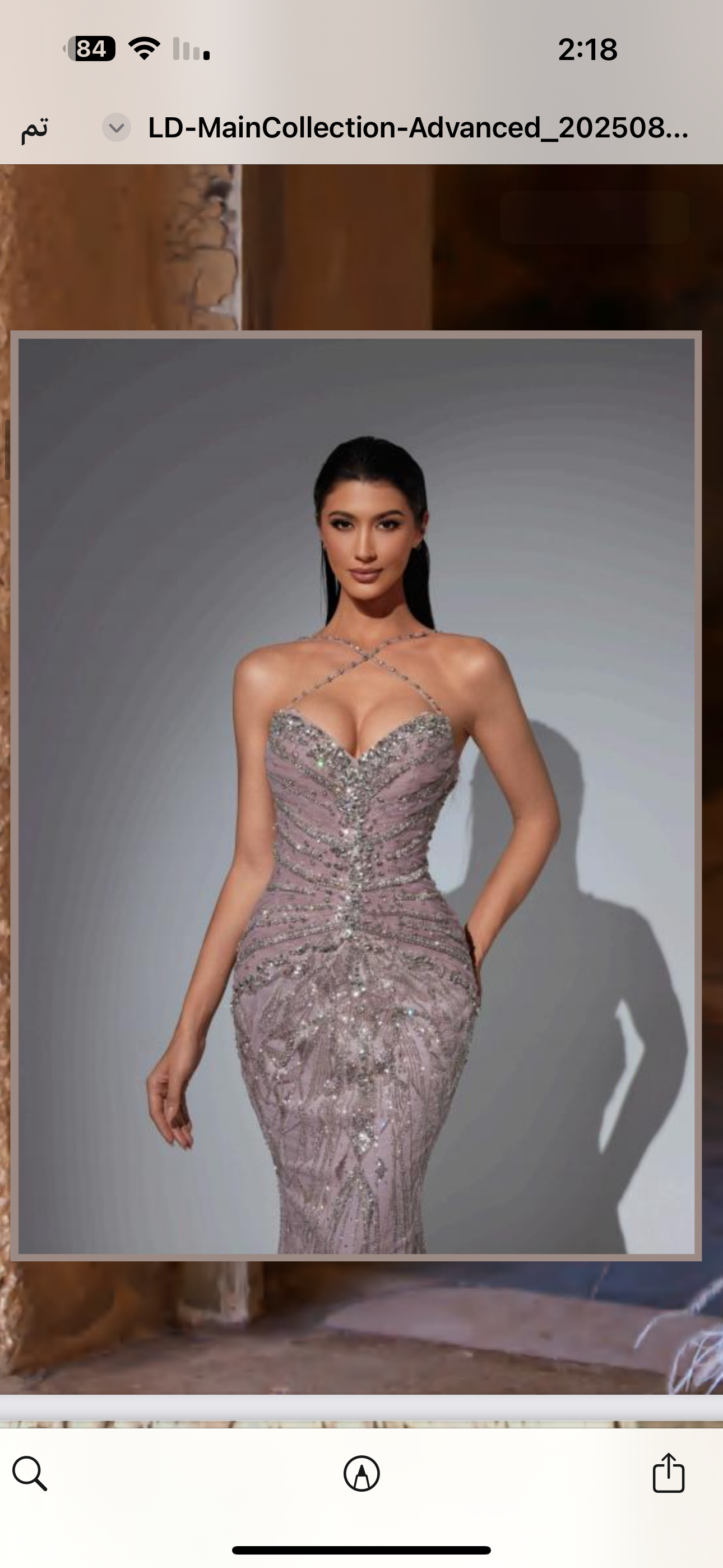 Elegant dress embellished with crystals, a blend of two colors, featuring feathers at the bottom.