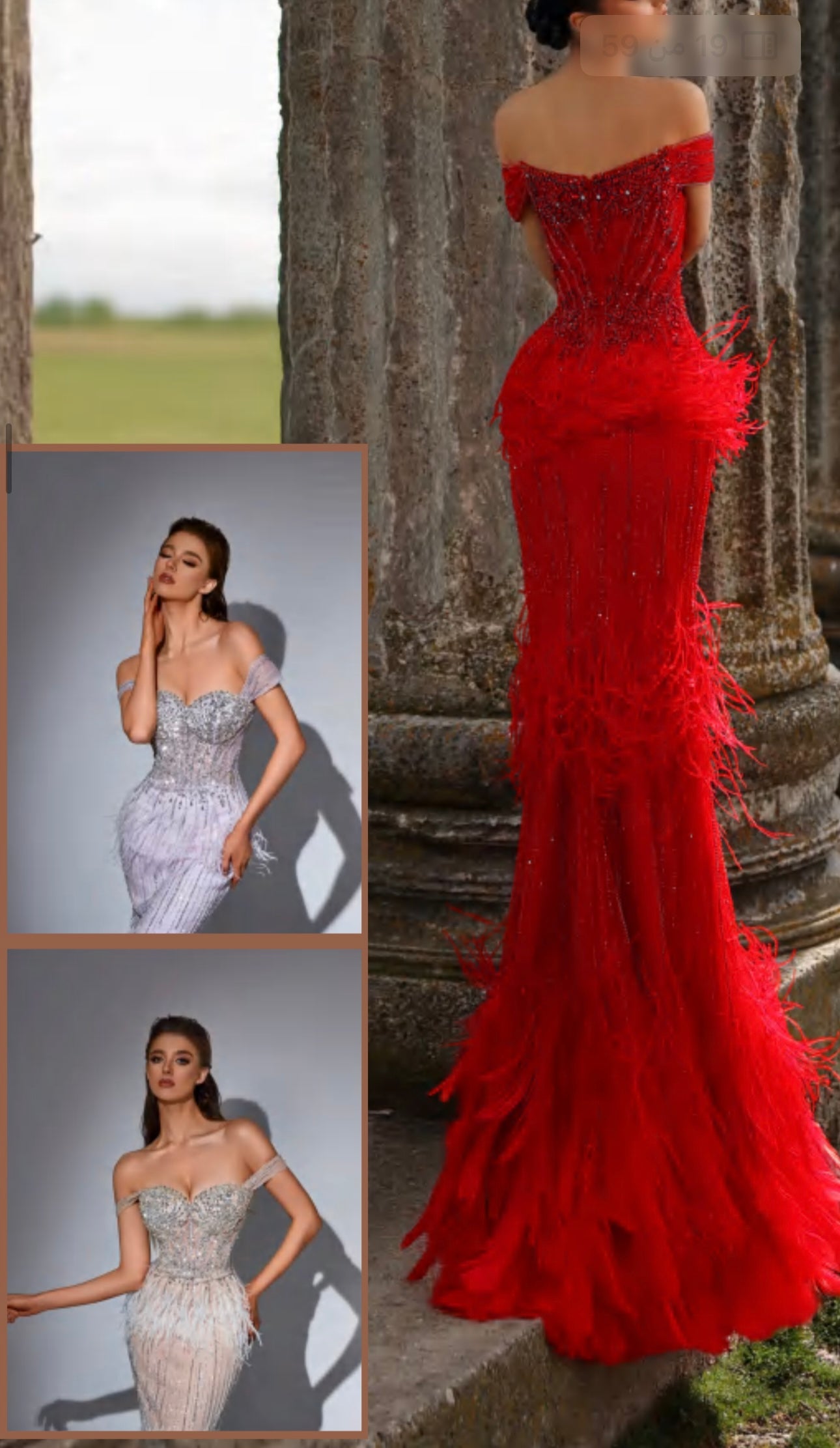 “Elegant off-shoulder dress embellished with crystals and feathers.”