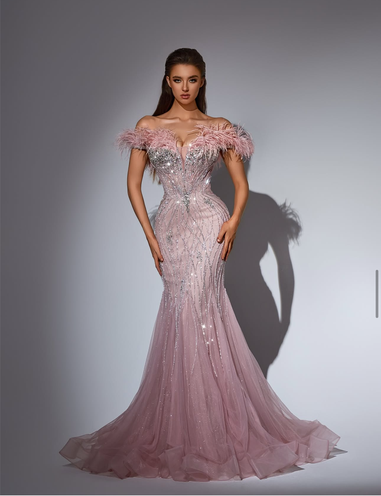 Elegant off-shoulder dress embroidered with natural feathers.”