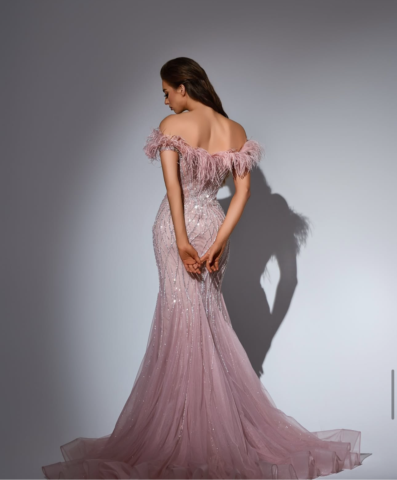 Elegant off-shoulder dress embroidered with natural feathers.”