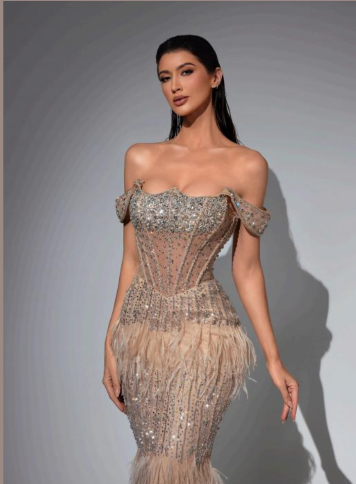 Luxury dress embroidered with stones and natural feathers”