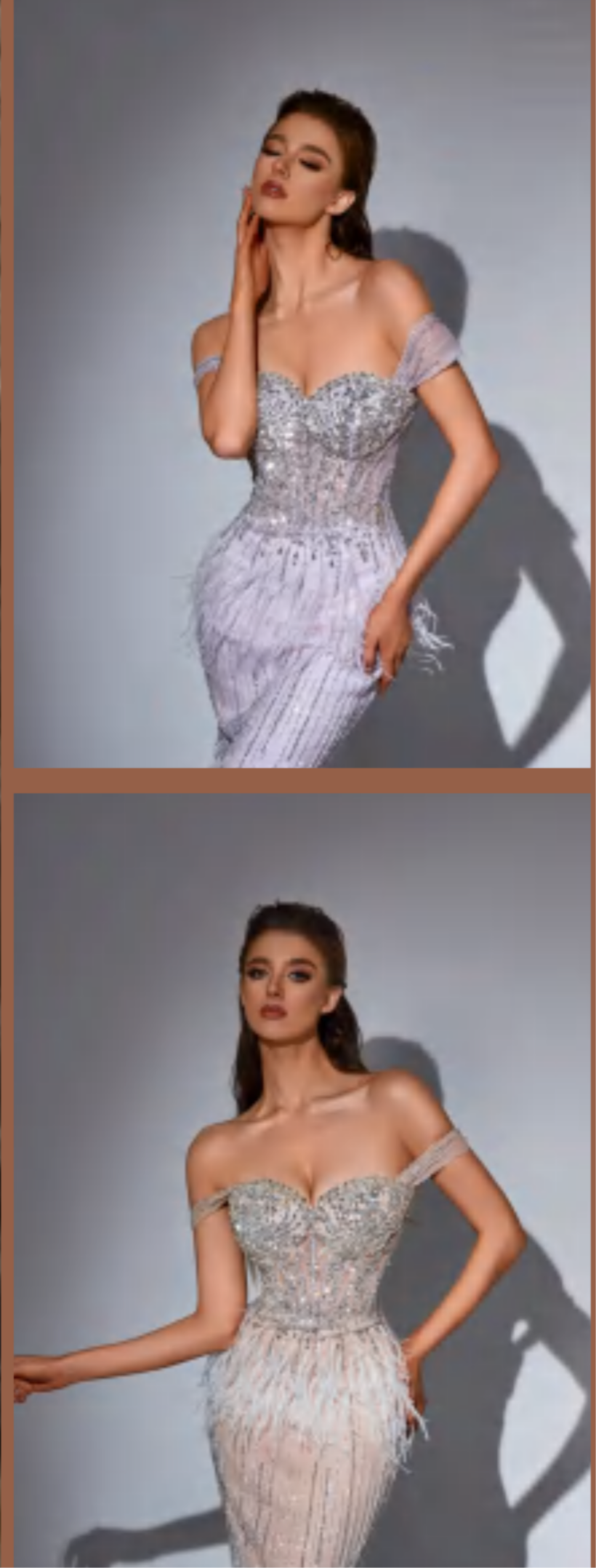 “Elegant off-shoulder dress embellished with crystals and feathers.”