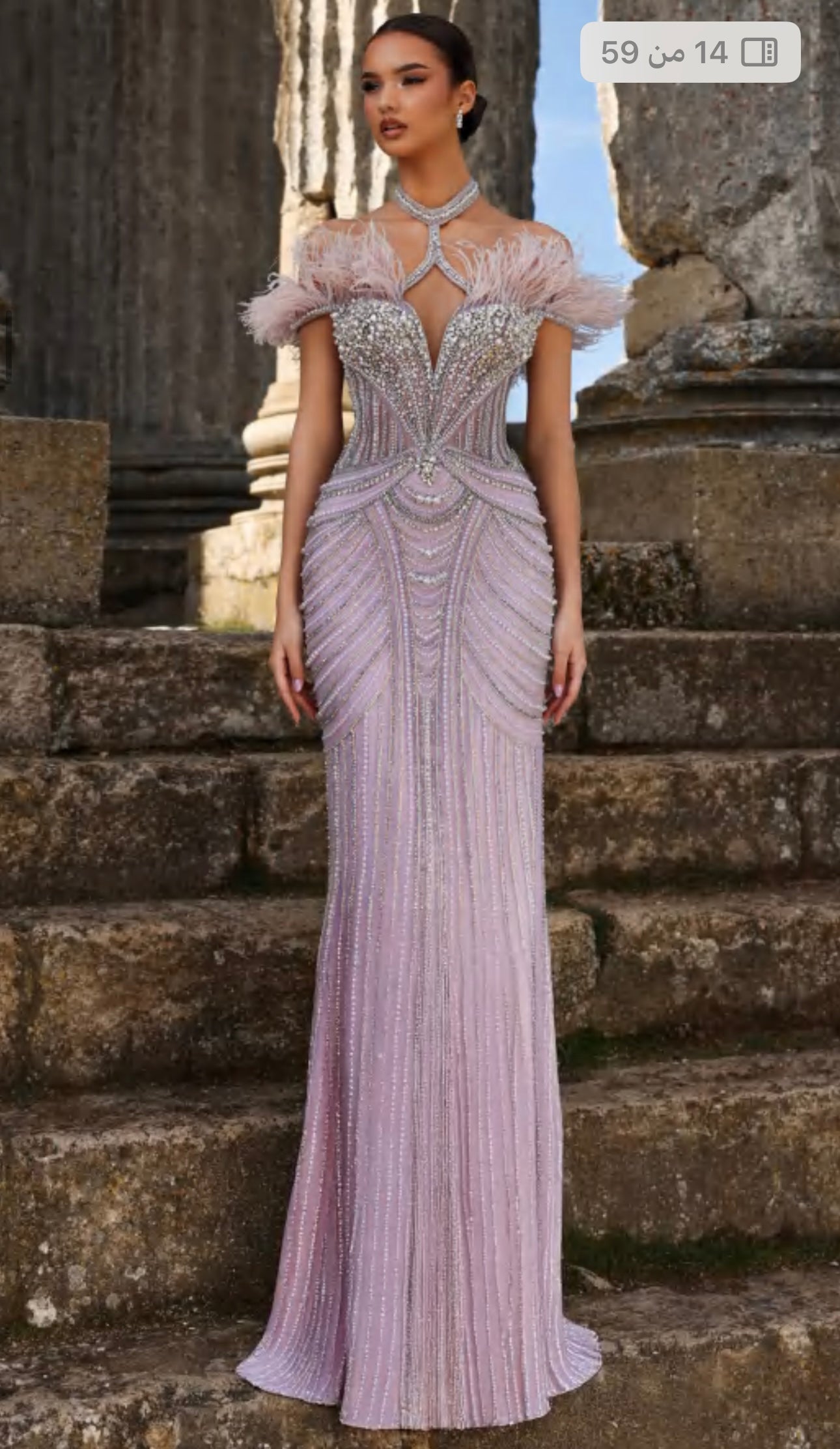 “Luxurious dress adorned with crystals and gemstones, featuring off-shoulder natural feather embroidery and a high neckline.”