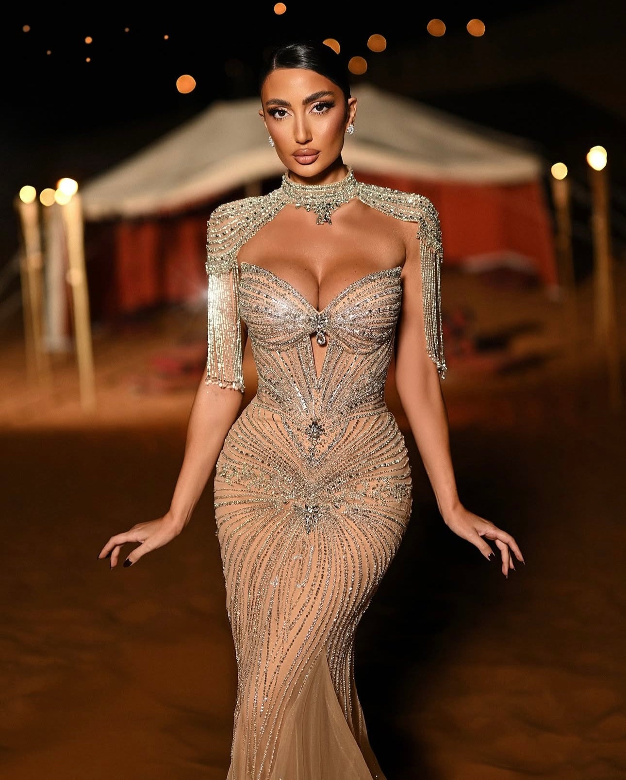 Luxury Embroidered Party Dress with Detachable High Neck
