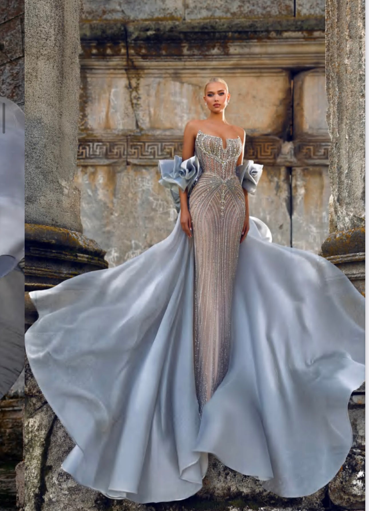 Luxurious strapless dress with two pieces on the arms connected by a long organza scarf.”