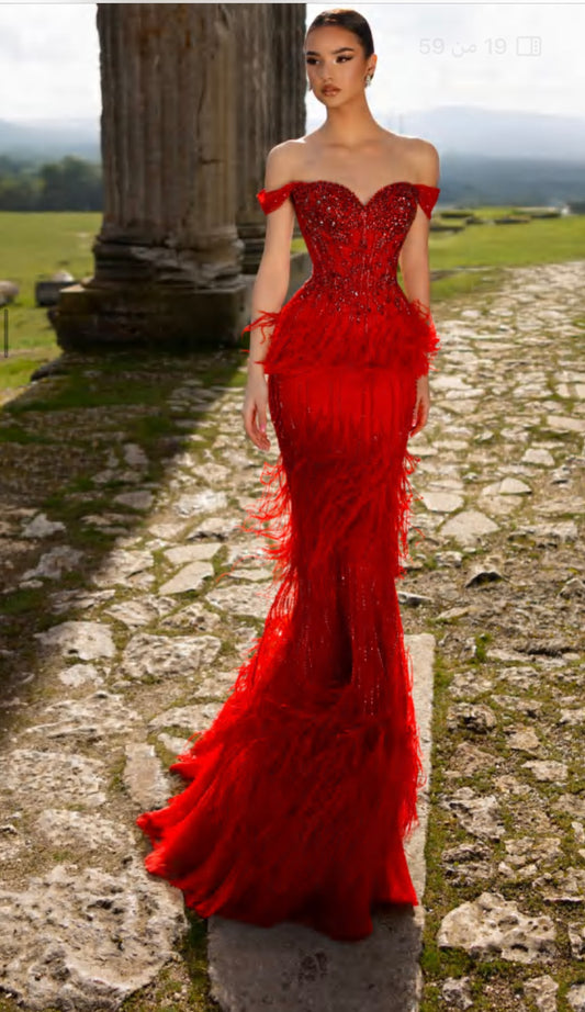“Elegant off-shoulder dress embellished with crystals and feathers.”