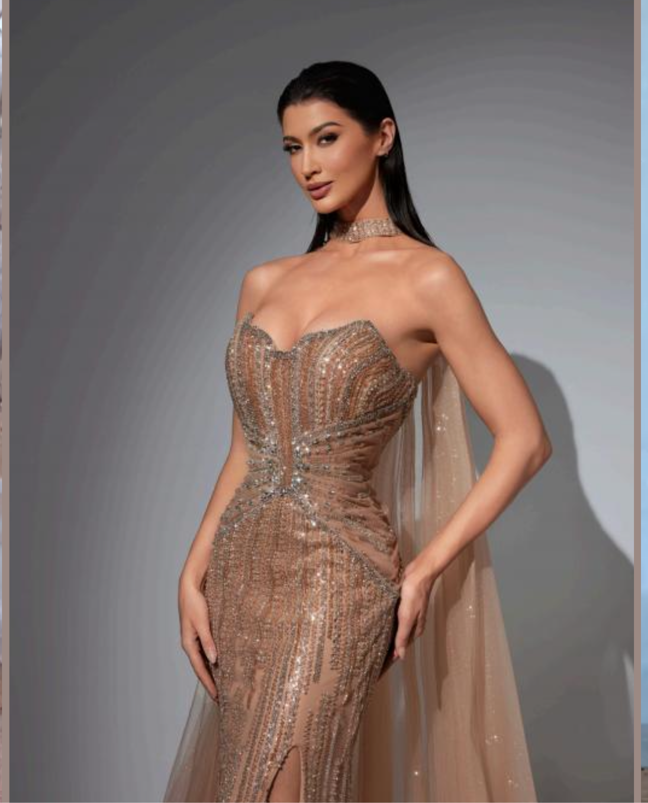 Elegant embroidered dress with a neck tie attached to a piece of tulle.